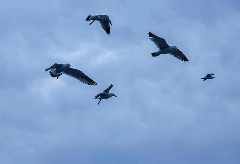 צימר Cafe & Bb Guri