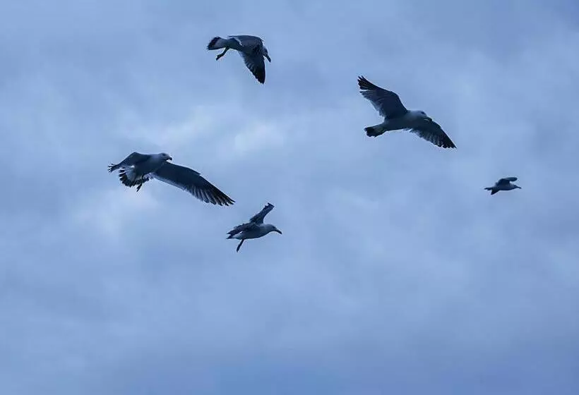 ベッドアンドブレックファースト Cafe & Bb Guri