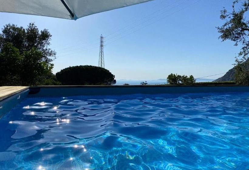 Bed & Breakfast My Place Home & Garden