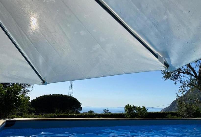 Bed & Breakfast My Place Home & Garden