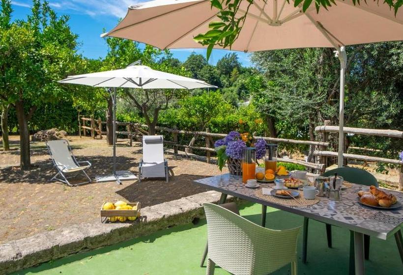 Bed & Breakfast My Place Home & Garden