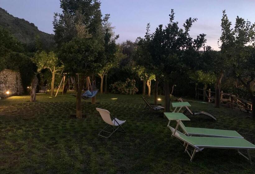 Bed & Breakfast My Place Home & Garden