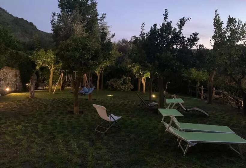 Bed & Breakfast My Place Home & Garden