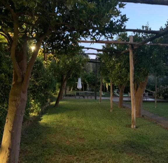 Bed & Breakfast My Place Home & Garden