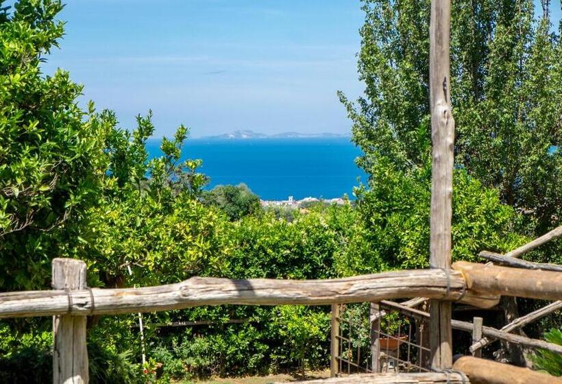 Bed & Breakfast My Place Home & Garden