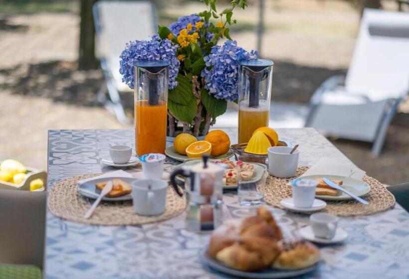 Bed & Breakfast My Place Home & Garden