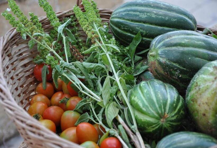 בית מלון כפרי Agriturismo Tenuta Margherita