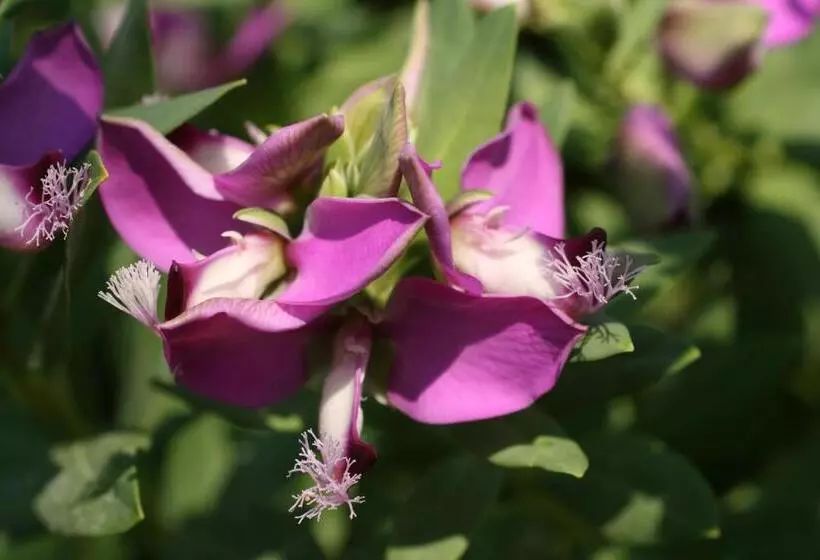 ホテル Agriturismo Tenuta Margherita