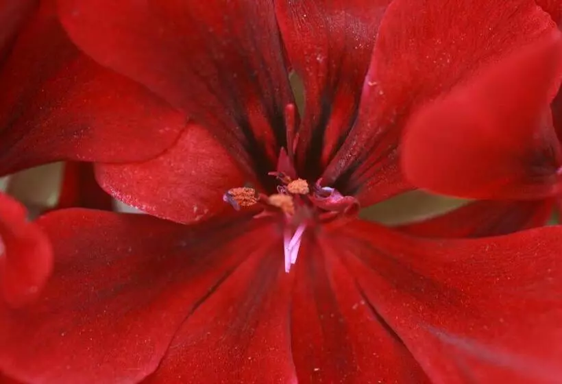 ホテル Agriturismo Tenuta Margherita