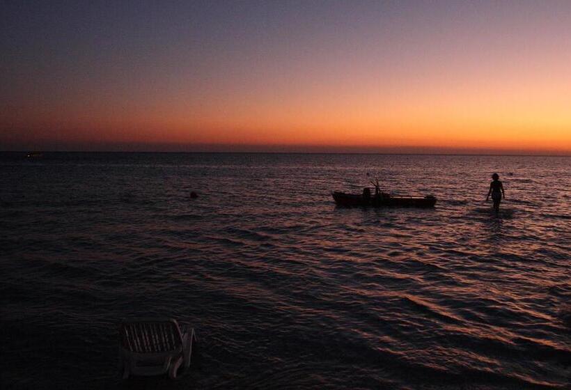 בית מלון כפרי Agriturismo Tenuta Margherita