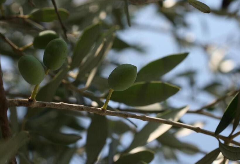 בית מלון כפרי Agriturismo Tenuta Margherita