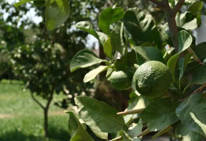 ホテル Agriturismo Tenuta Margherita