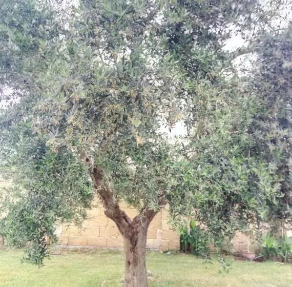 ホテル Agriturismo Tenuta Margherita