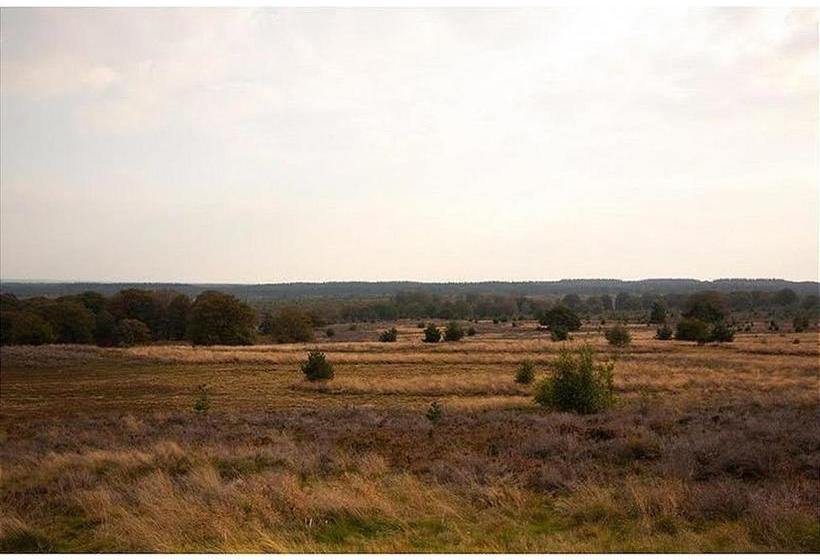 אתר נופש Twente 6 Persons