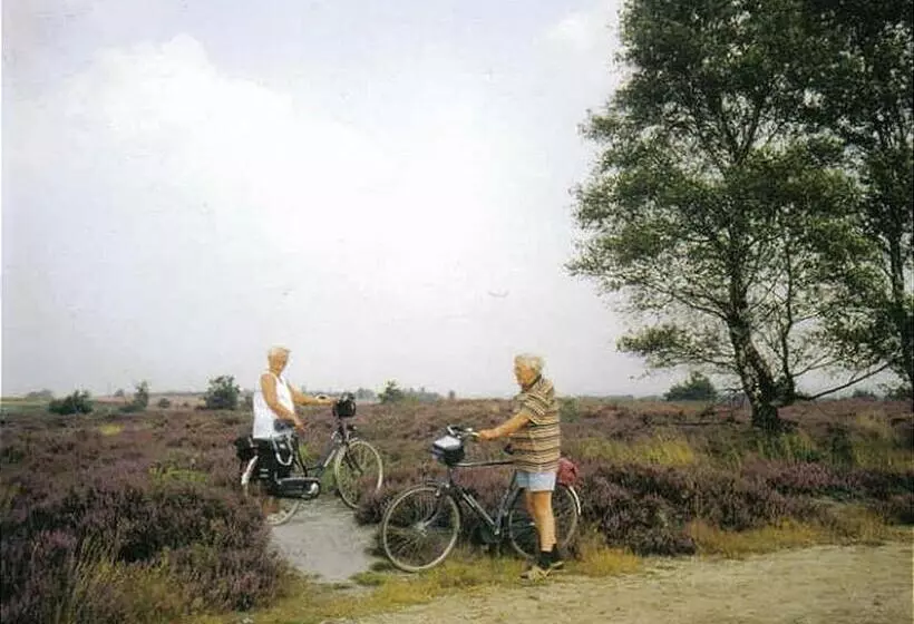 استراحتگاه Twente 6 Persons
