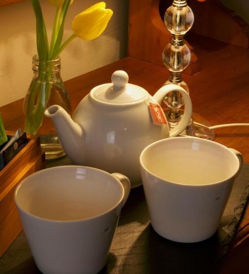 بنسيون Dolffanog Fawr