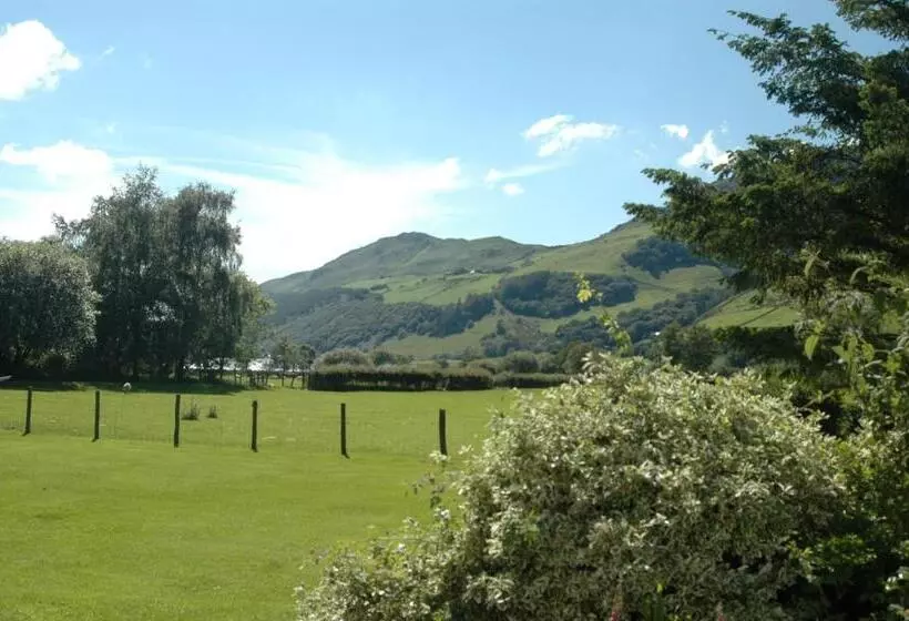 Majatalo Dolffanog Fawr