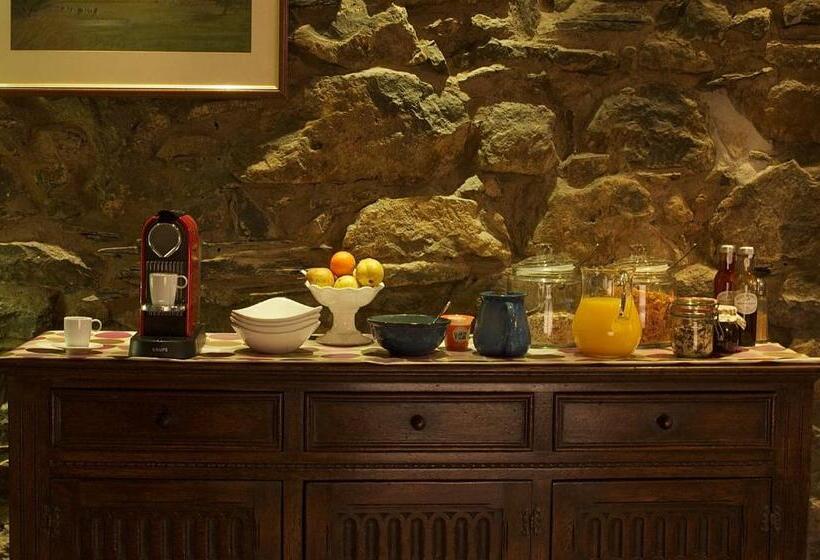 بنسيون Dolffanog Fawr