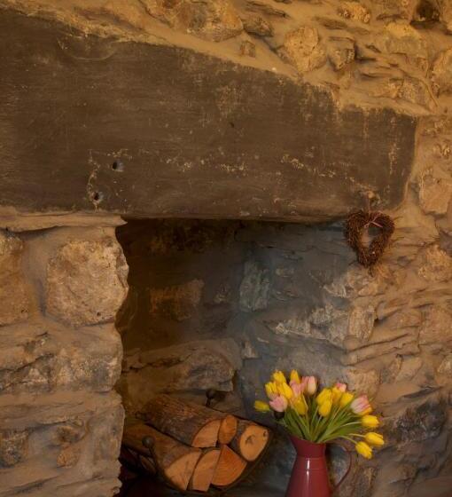 بنسيون Dolffanog Fawr