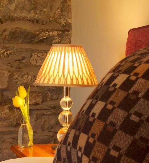 بنسيون Dolffanog Fawr