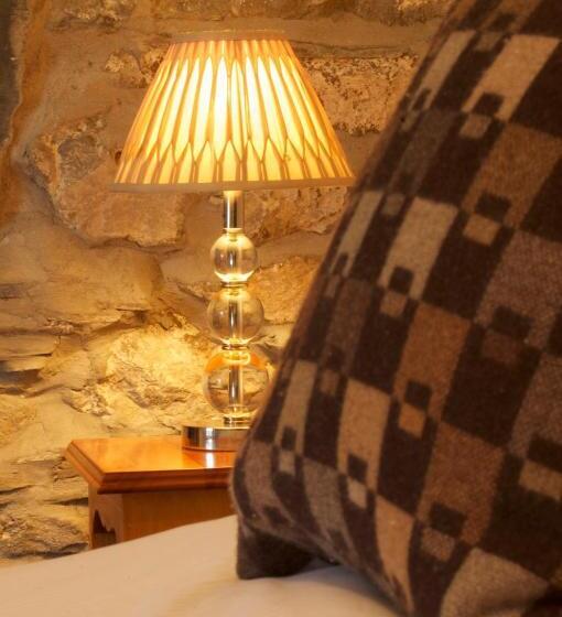 بنسيون Dolffanog Fawr