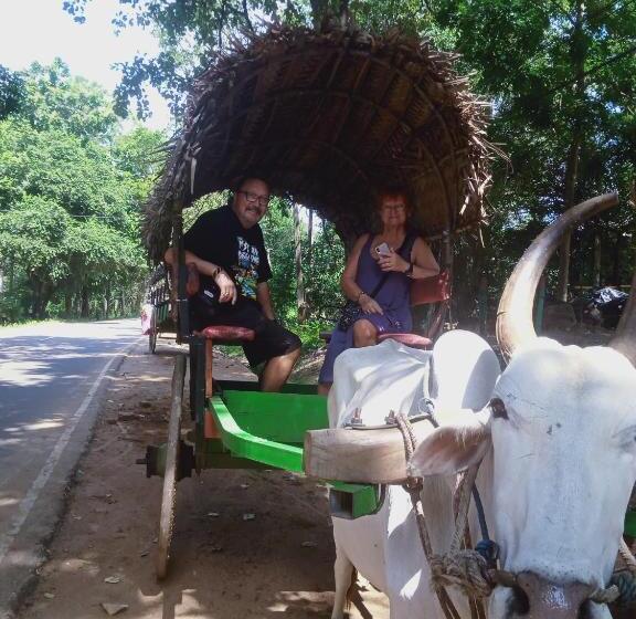 بنسيون Osheen Family Guest House