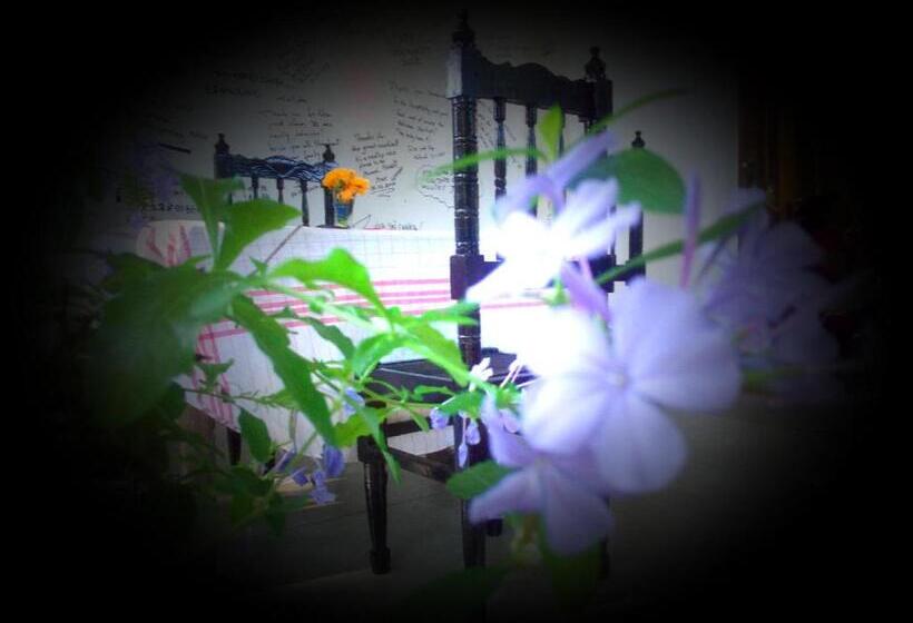 بنسيون Osheen Family Guest House