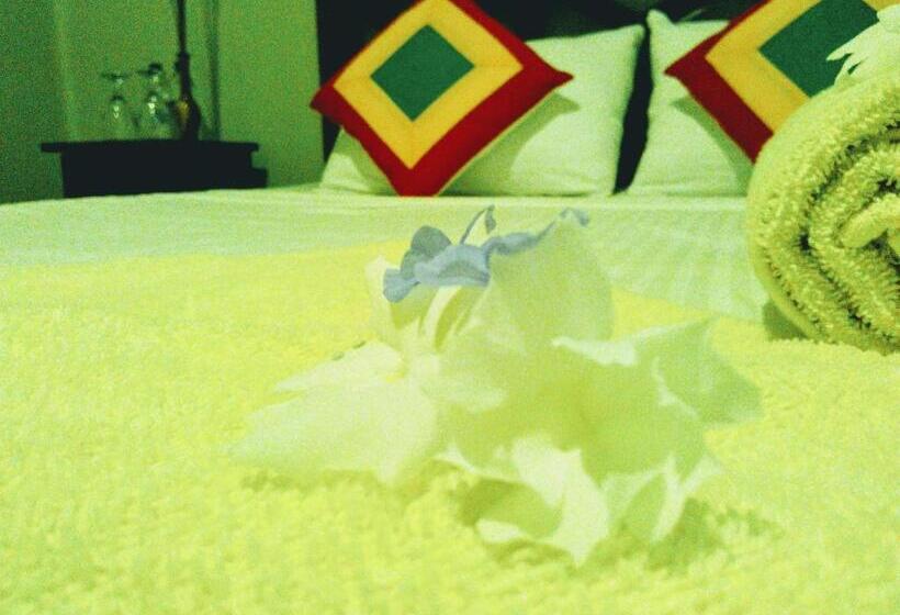 بنسيون Osheen Family Guest House