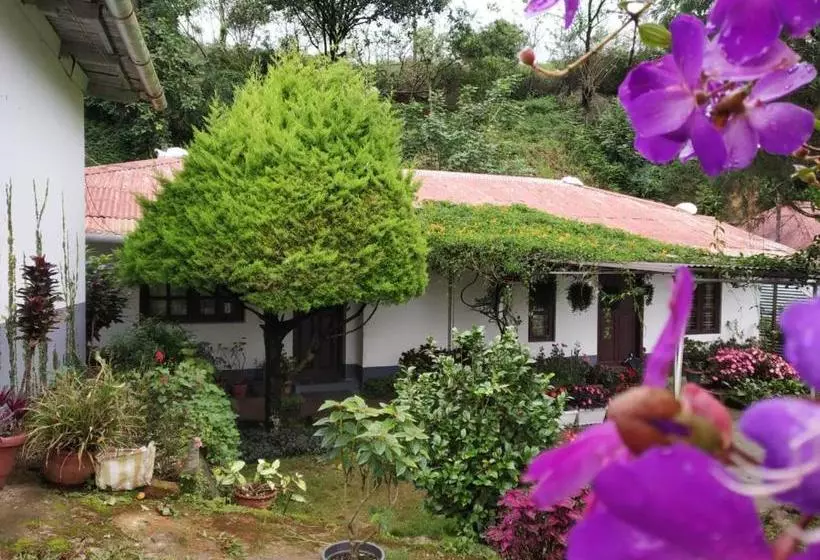 ペンション Rheinberg Town Haus