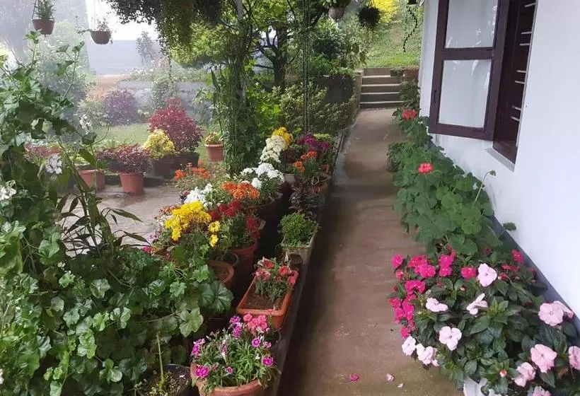 ペンション Rheinberg Town Haus