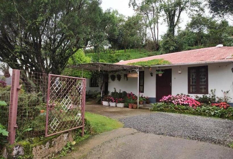 ペンション Rheinberg Town Haus