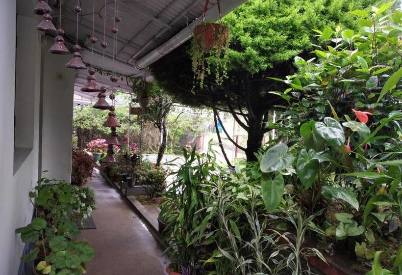 ペンション Rheinberg Town Haus