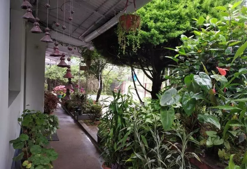 ペンション Rheinberg Town Haus