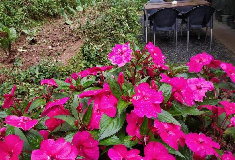 ペンション Rheinberg Town Haus