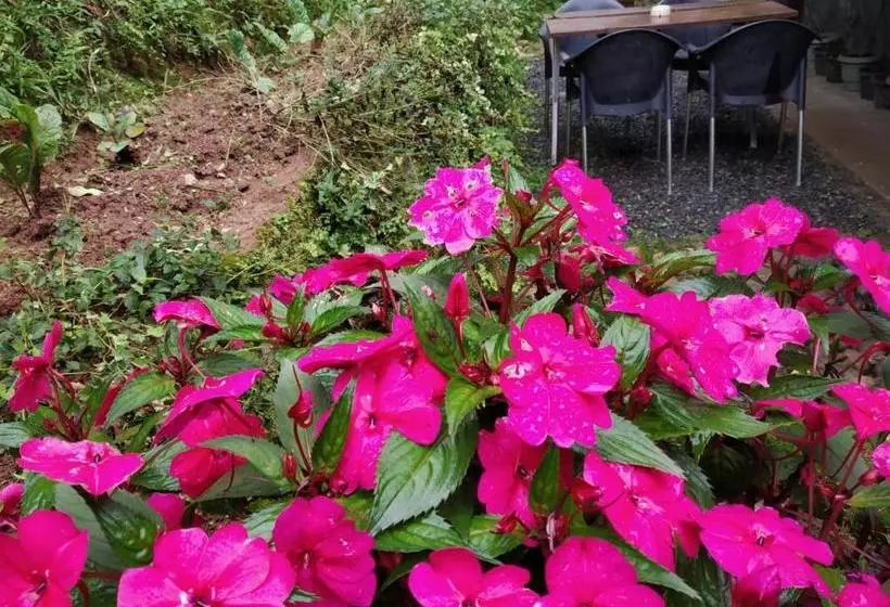 ペンション Rheinberg Town Haus