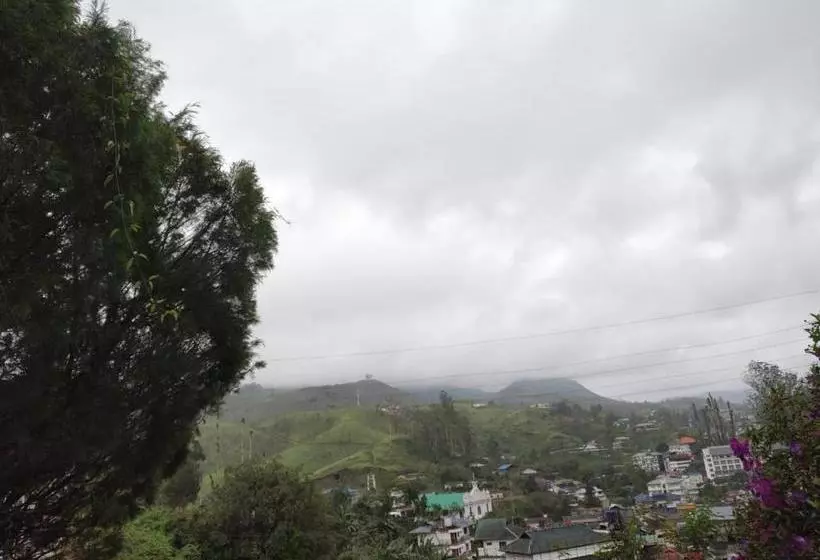 ペンション Rheinberg Town Haus