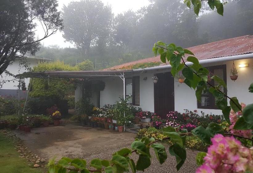 ペンション Rheinberg Town Haus