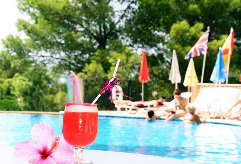 Apartamentos Del Rey