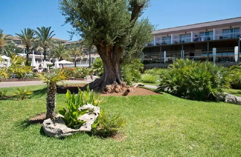 ホテル Beach Club Font De Sa Cala