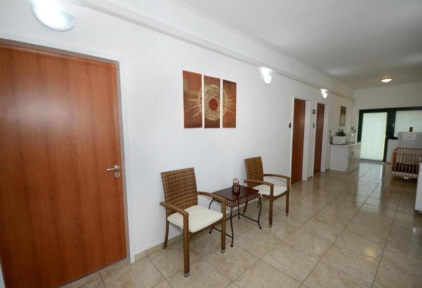 住宿加早餐 Szárszó Panzió