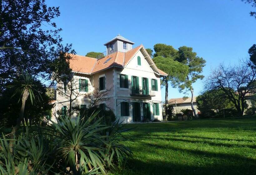 هتل La Maison Du Môle