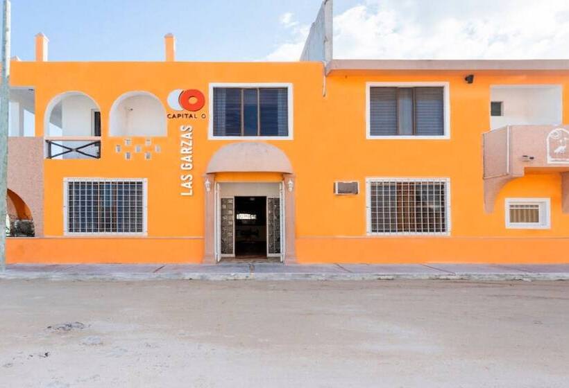 فندق Las Garzas