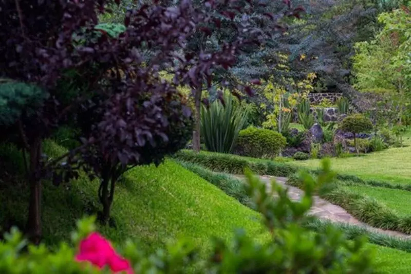 Koanze Luxury Hotel & Spa