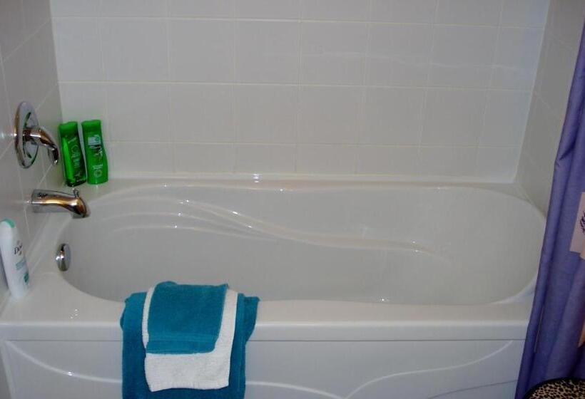 پانسیون Dave & Honey's Accommodation