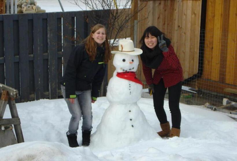 پانسیون Dave & Honey's Accommodation