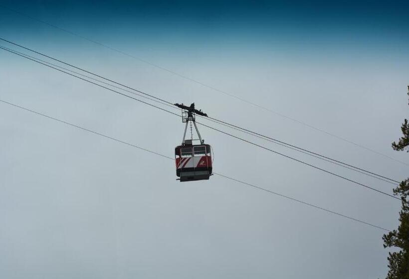 پانسیون Dave & Honey's Accommodation