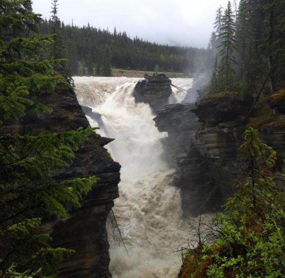 پانسیون Dave & Honey's Accommodation