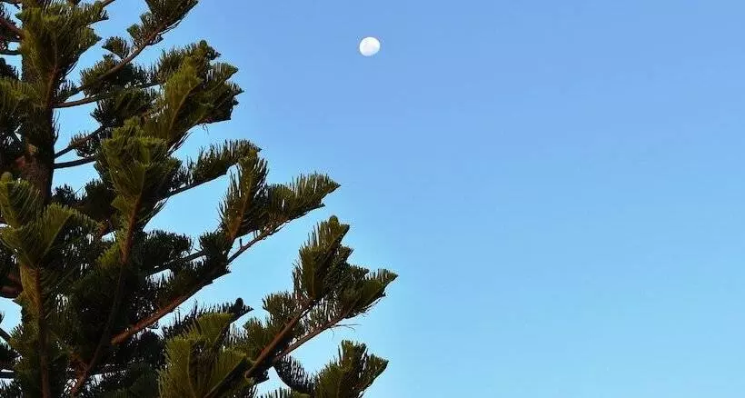 ペンション Port Albert Motel