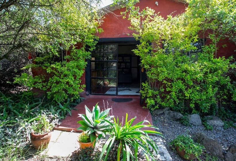 هتل Punda Milias Lodge