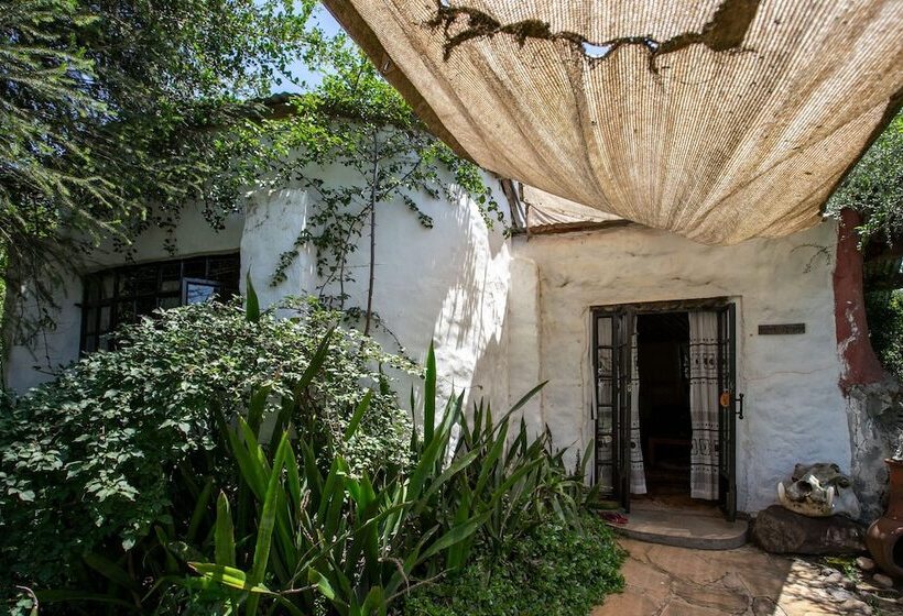 هتل Punda Milias Lodge